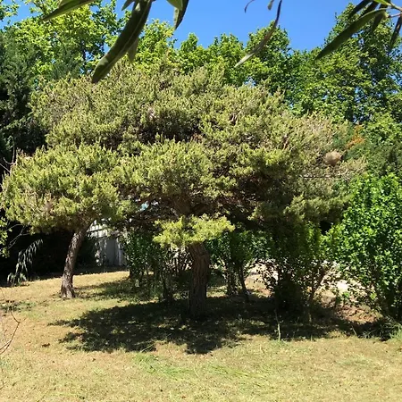 Dans Maison Avec Piscine Et Jardin 4 Ou 6 Personnes Arles