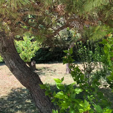 Dans Maison Avec Piscine Et Jardin 4 Ou 6 Personnes Arles