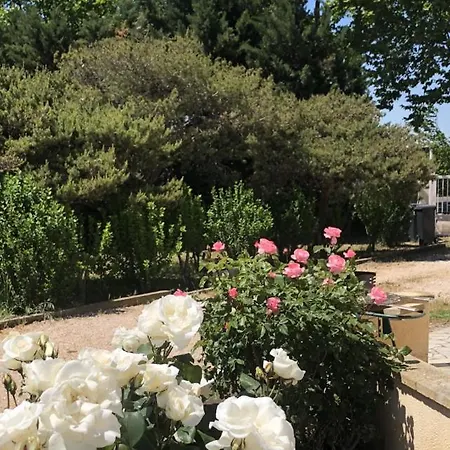 Dans Maison Avec Piscine Et Jardin 4 Ou 6 Personnes * Arles