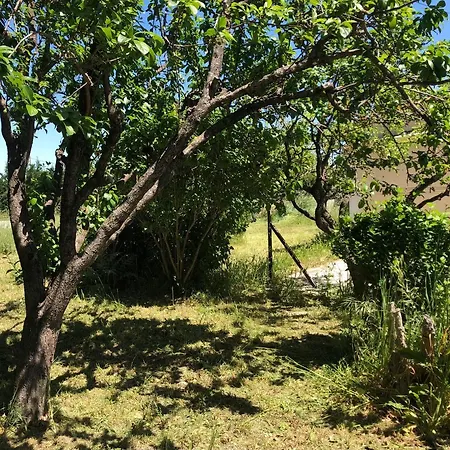 Dans Maison Avec Piscine Et Jardin 4 Ou 6 Personnes Apartment *
